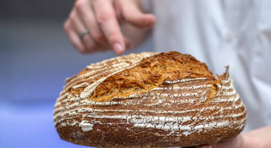 MIWE lbc - Beraten werden